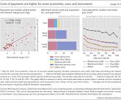 Report a lost or stolen paycard to global cash card customer service immediately. Iii Central Banks And Payments In The Digital Era