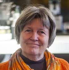 D66 Roermond — Onze mensen