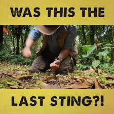 Coyote Peterson Worst Sting On Earth Facebook