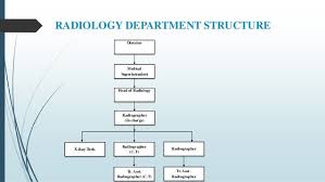 Radiologic Technology Organization Chart Www