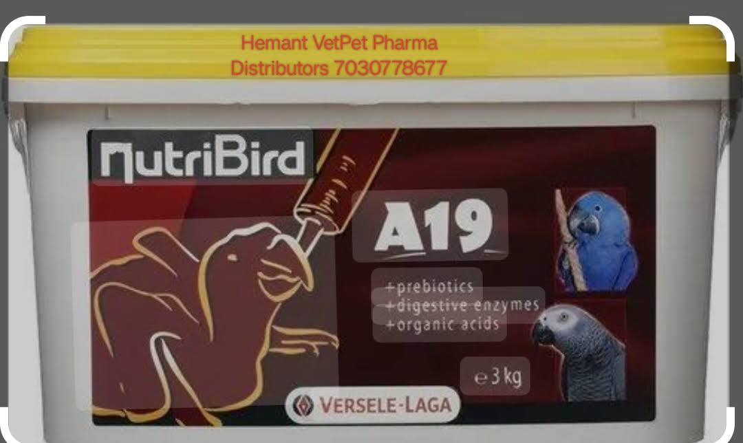 A19 Versele-LAGA Parrot Bird's Hand feeding formula product image