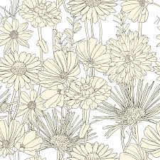 Decorative frame with floral ornament. Drawing Line Drawing Flowers Png