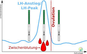 Was Deine Zwischenblutung Dir Sagen Will Schwangerwerden Tipps