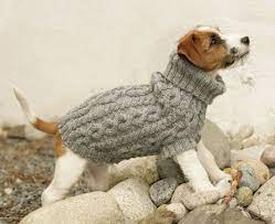 Buy chunky knit coat pattern and get the best deals at the lowest prices on ebay! Top 5 Free Dog Sweater Knitting Patterns Lovecrafts Dog Sweater Pattern Knitted Dog Sweater Pattern Dog Sweaters