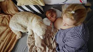 144 Breastfeeding Dog Videos And Hd Footage Getty Images