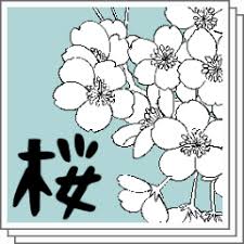 Black and white outline flowers. Cherry Blossom Line Drawing Material Collection Clip Studio Assets