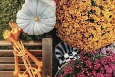 Halloween Planters Workshop