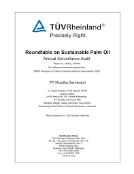 Want to know more about working here? Roundtable On Sustainable Palm Oil