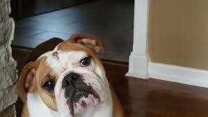 We did not find results for: Top 4 Best Carpet Installers In Roanoke Va Angi Angie S List