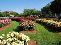 The All American Rose Garden Southern Mississippi The University Of Southern Mississippi Hattiesburg