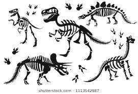 Stylish Silhouette Dinosaur Skeletons Dinosaur Bones Triceratops Tyrannosaurus Brahiosaurus Velociraptor St Dinosaur Silhouette Dinosaur Skeleton Dinosaur