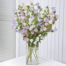 Here you can find the best ideas that will brighten up your home in 2021. Pin By Rebecca Susan On Fleur Flower Bouquet Wedding Flowers By Post Campanula Flowers