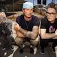 blink-182