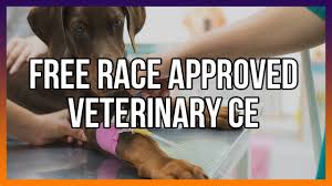 These courses are open enrollment, meaning participants may enroll at any time. Www Mercadocapital Race Approved Ce For Vet Techs Continuing Education