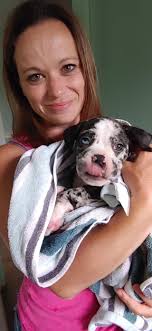 Her beagle sis 😍 😆 Scrunchie.... Zara