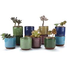 It is said to be hand crafted and it being made os ceramic material makes it versitile enough for indoor and or outdoor plantings. T4u 2 5 Inch Small Ceramic Succulent Planter Pot With Drainage Hole Set Of 12 Ice Crack Glaze Porcelain Handicraft Plant Container Gift For Mom Sister Aunt Best For Home Office Desk Decoration