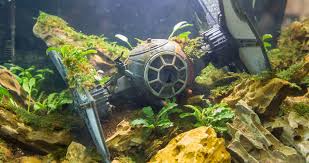 Check spelling or type a new query. Top Star Wars Fish Tank Safe Decorations Fish Tank Decorations Fish Tank Themes Fish Tank