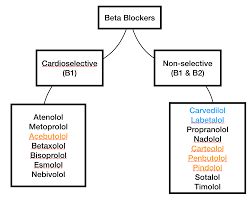 Image result for Beta Blocker