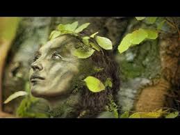 Youtube Celtic Music Meditation Music Relaxing Music