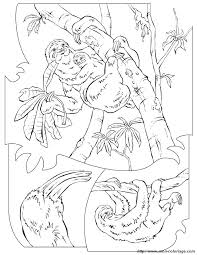 Ausmalbilder Malvorlagen Fur Lehrkrafte Bild Faultier