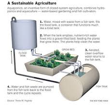 An active system uses pumps to circulate the water, while a passive system. Aquaponics A Gardening System Using Fish And Circulating Water The New York Times