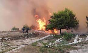 Θα μπορούσε να στοιχίσει και ανθρώπινες ζωές. Fwtia Zakyn8os H Eikona Apo Doryforo Poy Kobei Thn Anasa Pics Newsbomb Eidhseis News