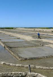 Le Paludier De L Ile De Re Ile De Re France Ile Ile De Re