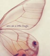 Butterfly Quote Images On Favim Com
