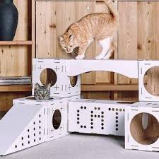 12 Parcours Geniaux Pour Votre Chat Acrobate Trucs De Chat Jeux Pour Chat Chat