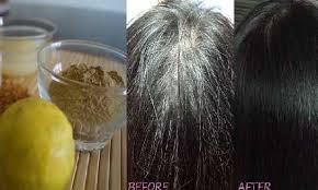 Can white hair turn black again naturally? 4 Best Home Remedies To Turn White Hair Into Black Naturally