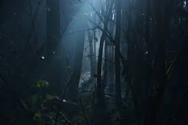 Every image can be downloaded in nearly every resolution to ensure it will work with your device. Forest Dark Anime Wallpapers Wallpaper Cave
