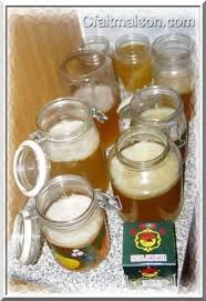 Soins Conservation Et Multiplication Des Cultures De La Kombucha Kombucha Recette De Jus Detox Saveurs Kombucha
