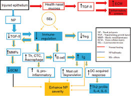 Update Of Pathogenesis And Management Of Nasal Polyposis El