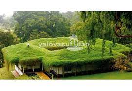 Hazır kalıp rulo çimlerimiz spor faaliyet alanlarında, villa bahçelerinde, rezidanslarda, park ve bahçelerde, her türlü peyzaj çalışmalarında, futbol sahalarında, refüjlerde, özel konut projelerinde ve kamusal alanlarda. Rulo Cim Hazir Cim Hali Cim