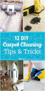 12 Diy Carpet Cleaning Tips Tricks To Make Your Life Easier Via Tipjunkie Carpet Cleaning Hacks Diy Carpet Diy Carpet Cleaner
