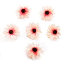 Check spelling or type a new query. Silk Flowers In Bulk Wholesale Fake Flowers Heads Mini Rose Cloth Artificial Flower For Wedding Party Home Room Decoration Marriage Shoes Hats Accessories Silk Flower 80pcs 5cm Light Red Buy Online In