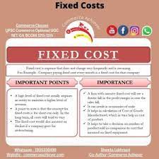 Fixed Costs-Meaning,Financial Statement Analysis,Cost Structure  Management,Ratios (Commerce Achiever) – Commerce Achiever