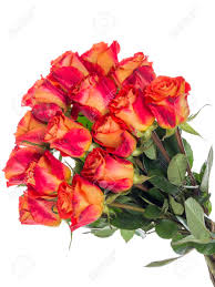 During fall, the landscape is usually sad. Beautiful Bright Bouquet Of Red Orange Two Color Rose Flowers On White Isolated Background Vertically Stock Photo Picture And Royalty Free Image Image 92681697