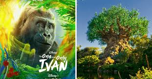 Disney S Dedication To Conservation Shines In The One And Only Ivan Inside The Magic In 2020 One And Only Ivan Animal Kingdom Theme Park Atlanta Zoo