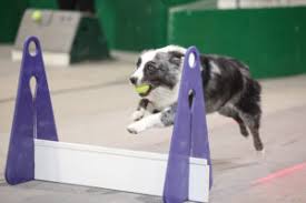 Title Recognition Spring 2024