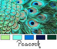 Adventures with peacock green & cobalt blue! Peacock Color Scheme Beautiful Peacock Color Scheme Color Harmony Color Palette