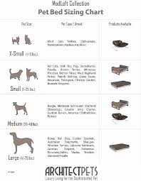 59 Nice Australian Shepherd Weight Chart Home Furniture