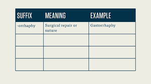 If your students like how medical terminology flashcards work, but don't want to carry around a stack of index cards, this flashcard activity from studystack could be a good alternative… especially for students who have smartphones or other mobile devices. Cpc Exam Medical Terminology