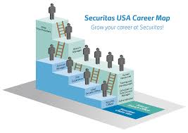 First, step aboard the accountant promotion ladder to see if some of the more common accounting position titles hold any appeal to you. Pin On Quick Saves