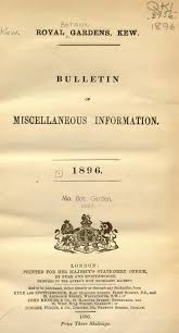 Image result for Diclis tenella