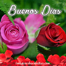 Imagenes Buenos Dias Con Flores Buenos Dias Con Flores Imagenes De Buenos Dias Imagenes De Buenos