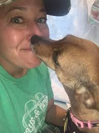 Laverne and Shirley approve of the house and crinkle unicorn!