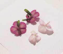 Check spelling or type a new query. How To Dry Flowers In A Microwave Resin Obsession