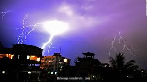 Lightning is a major agent of disturbance, but its ecological effects in the tropics are unquantified. 0aqxkotdqmtsgm