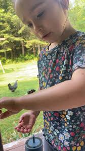 My Friends Montessori